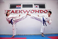 taekwondo kwon training